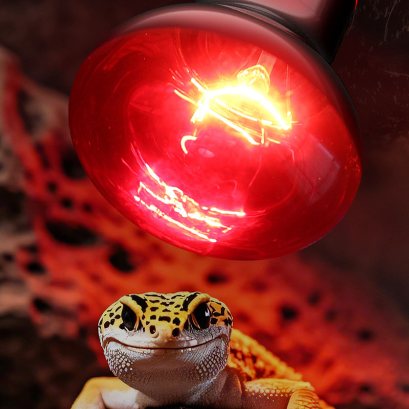 Reptile Heat Lamp 100V/220V In - Gecko Lighting & Decor review and price