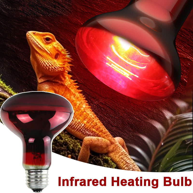 Reptile Heat Lamp 100V/220V In - Gecko Lighting & Decor review and price
