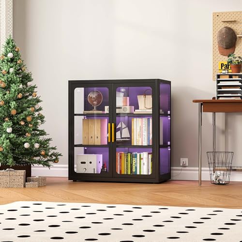 Display Cabinet with Glass Doo - Lighting & Home Decor Studio Photos review and price