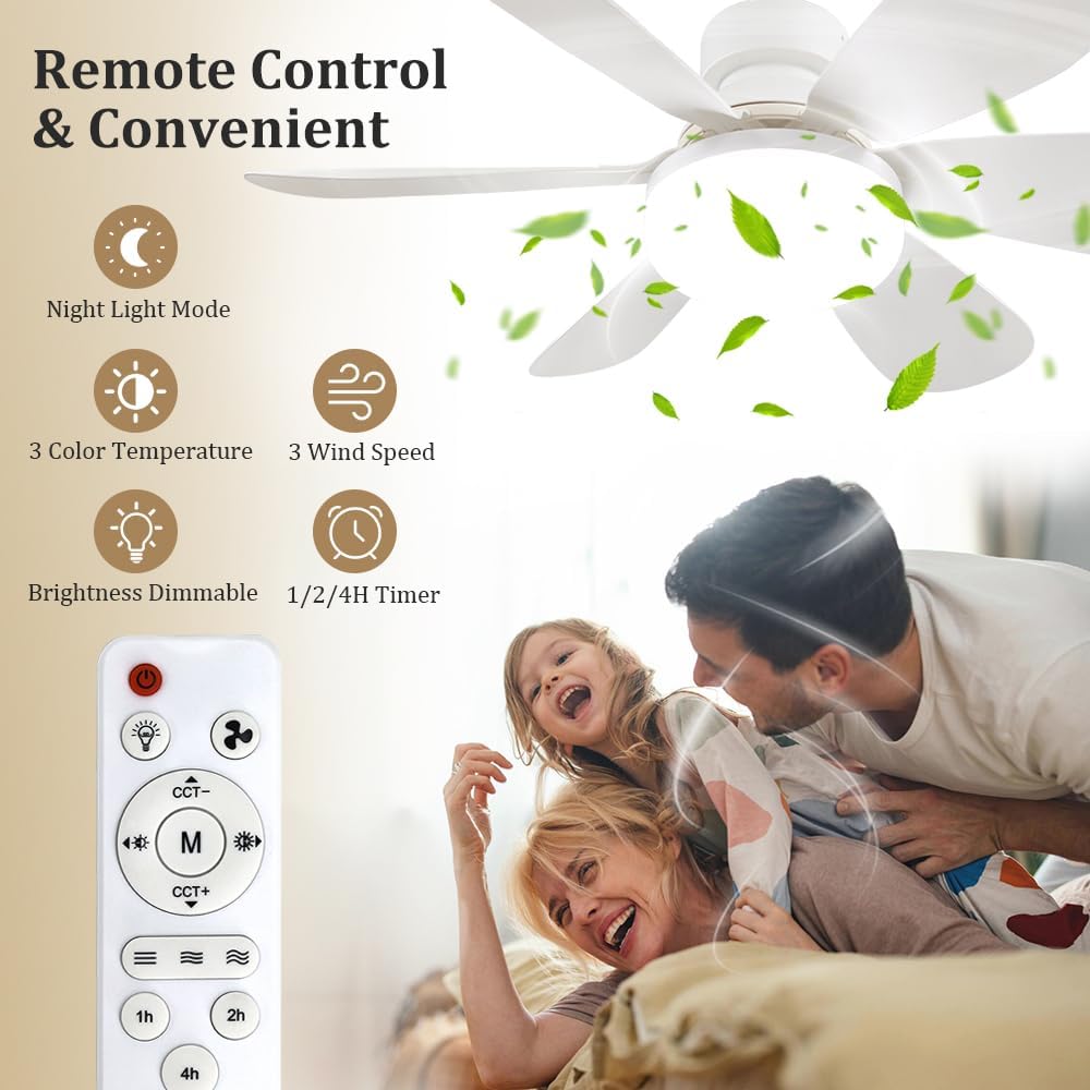 Socket Fan Light with Remote,  - Lighting Decor Home review and price