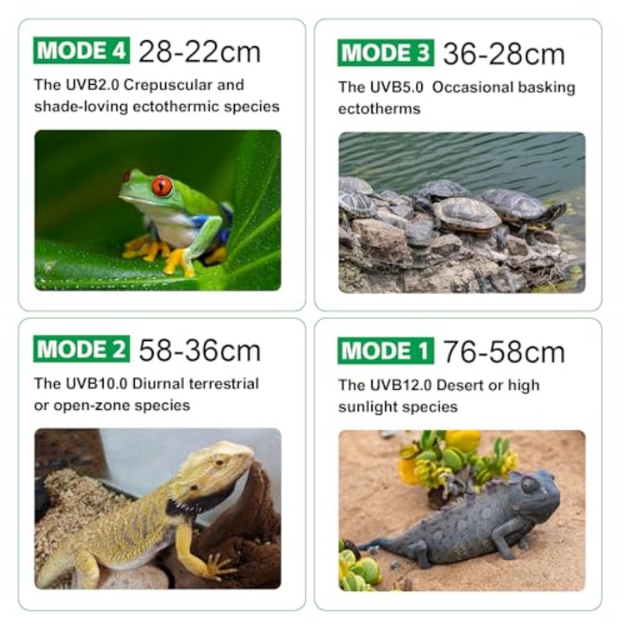 UVB Light for Reptiles with Di - Gecko Lighting & Decor review and price