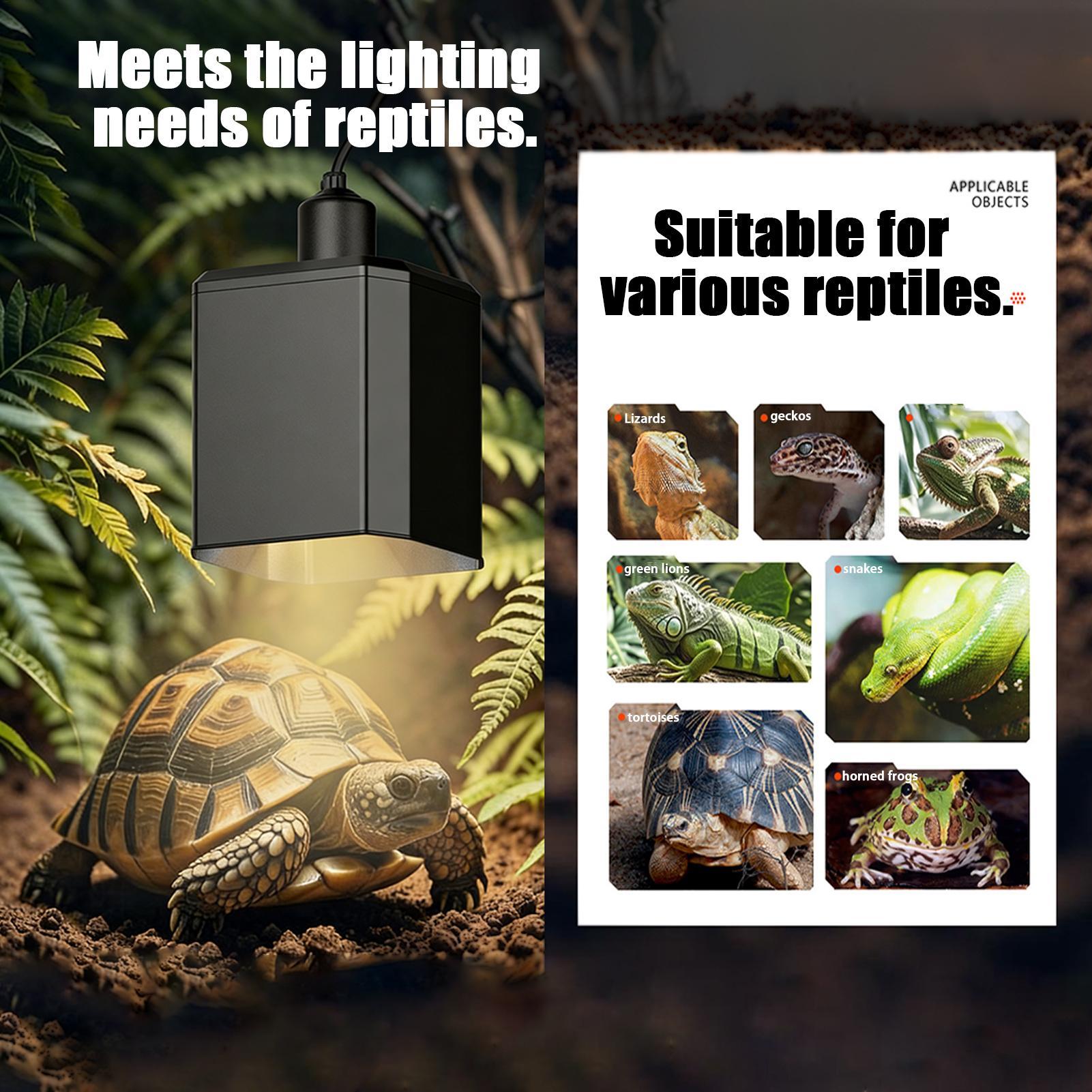 Heat Lamp Shade For Reptiles T - Gecko Lighting & Decor review and price