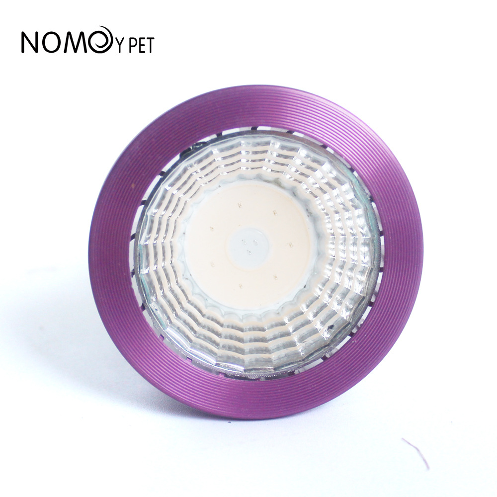 NOMOY Moonlight LED Night Ligh - Gecko Lighting & Decor review and price